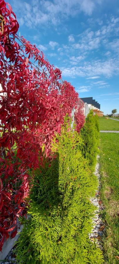 Corden Village Łeba Dış mekan fotoğraf